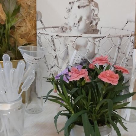Le Laboratoire Shabby Chic De La Parfumerie Du Manoir Chavagne 외부 사진
