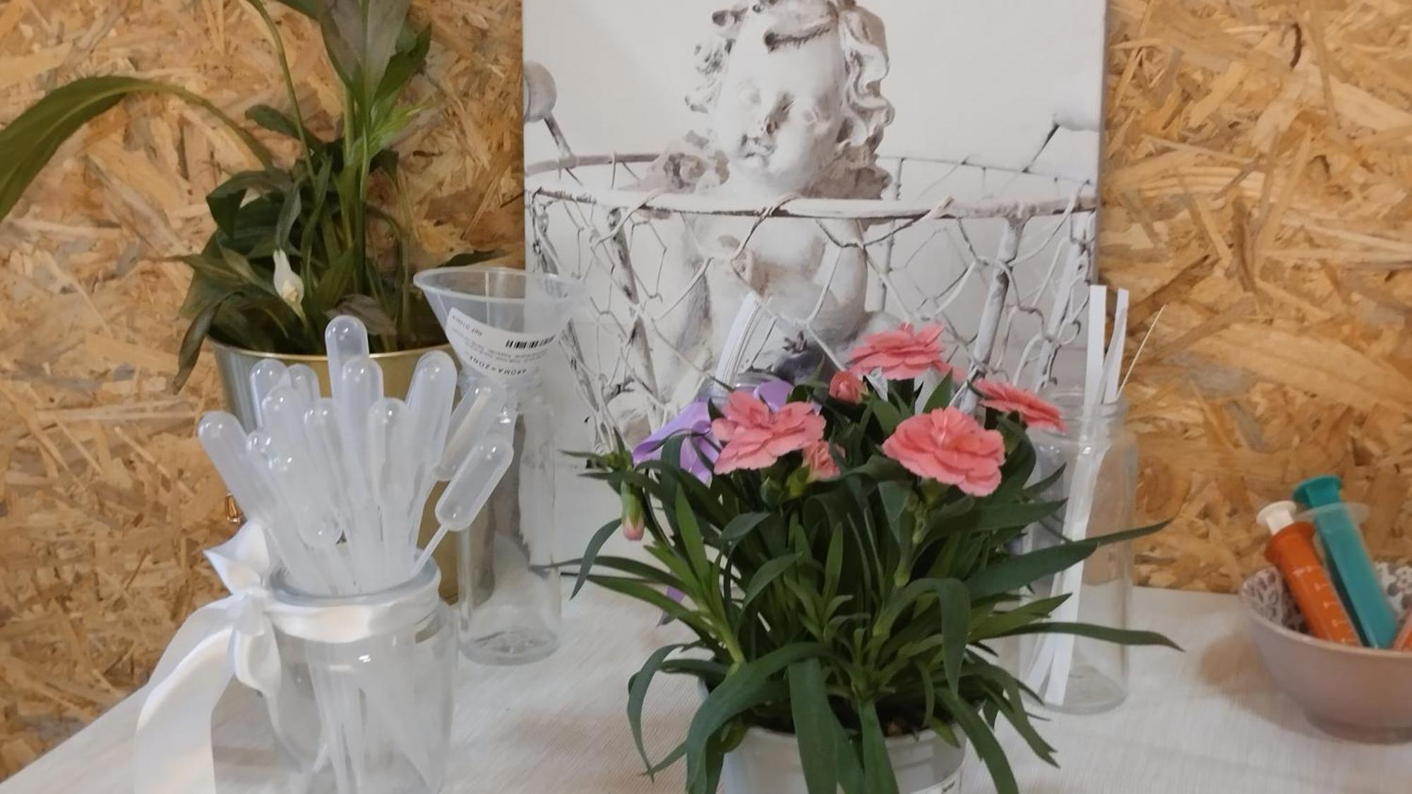 Le Laboratoire Shabby Chic De La Parfumerie Du Manoir Chavagne 외부 사진